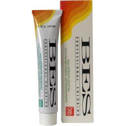 Bes barva professional 100ml