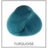 Directions  Turquoise 85ml