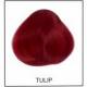 Directions 00 Tulip 89 ml